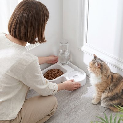 Gamelle Chat