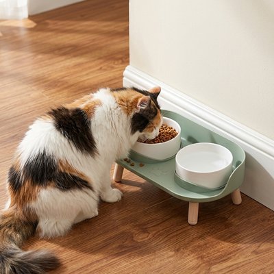 Gamelle Chat