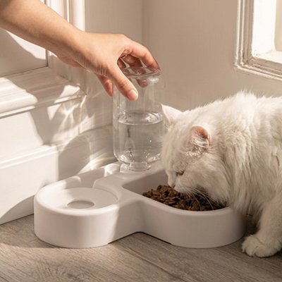 Gamelle Chat