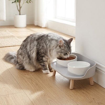 Gamelle Chat