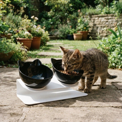 Gamelle double chat design oreilles de chat extérieur