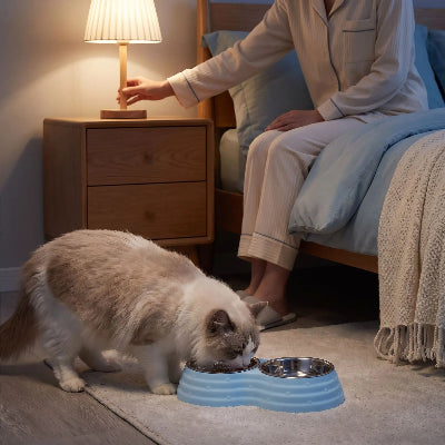 gamelle-double-inox-chat-bleu-ciel-chambre