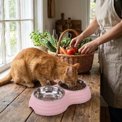gamelle double inox chat rose pastel roux