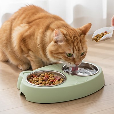 gamelle double inox chat verte