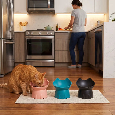 gamelle double surélevée chat rose bleu noire