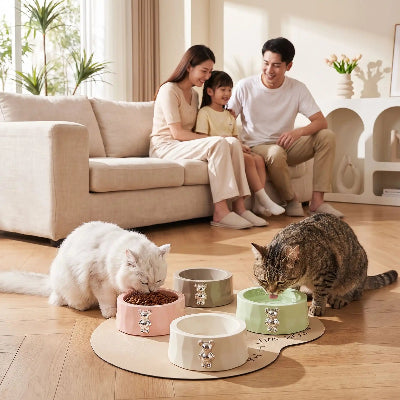 gamelle pour chat design ceramique pastel