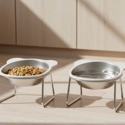 gamelle surélevée pour chat double croquettes eau