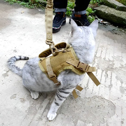  harnais chat avec un chat assise avec une debout personne