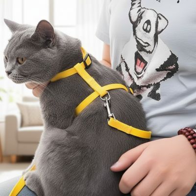 harnais pour chat jaune Chat gris sur les genoux