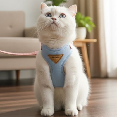 harnais pour chat bleu clair porte par un chat regard confiant