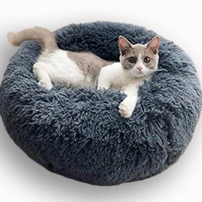 Lit Rond et Moelleux pour Chien et Chat - Joyeux Felin