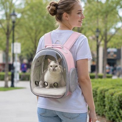 Sac à dos chats bulle porté par une femme en ville.