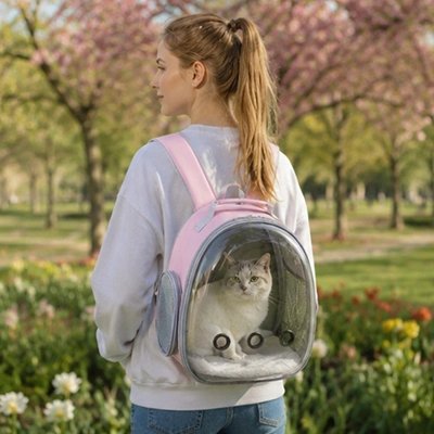 Sac à dos chats hublot dans un parc fleuri printanier.