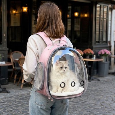 Sac à dos chats rose avec hublot devant un café.