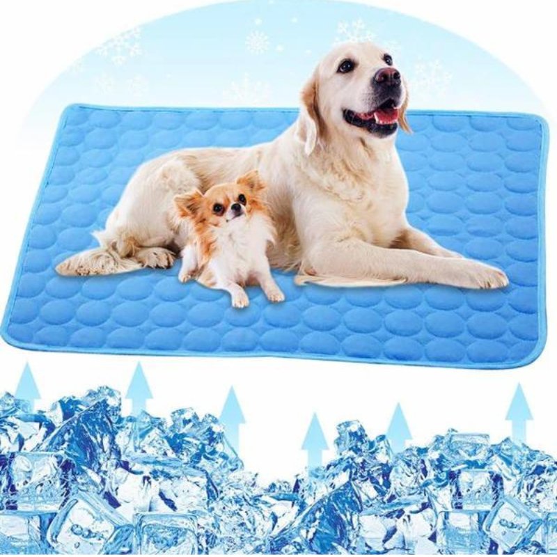 Tapis Rafraîchissant pour Chiens et Chats - Joyeux Felin