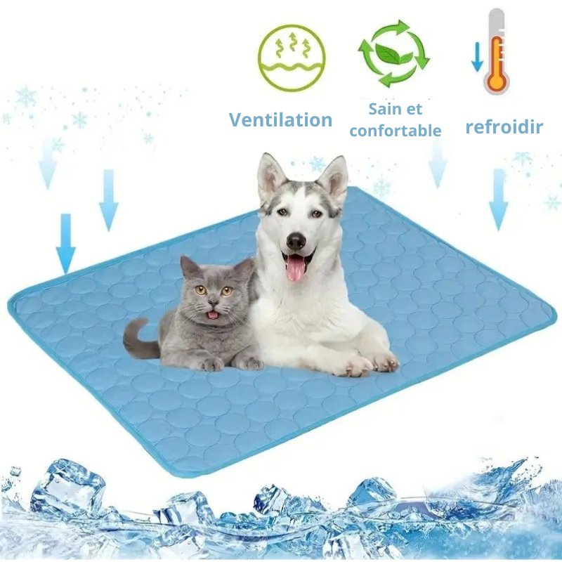 Tapis Rafraîchissant pour Chiens et Chats - Joyeux Felin