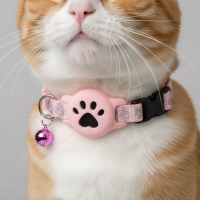 un gros plan sur le collier GPS Chat rose autour du cou du chat, fond neutre.
