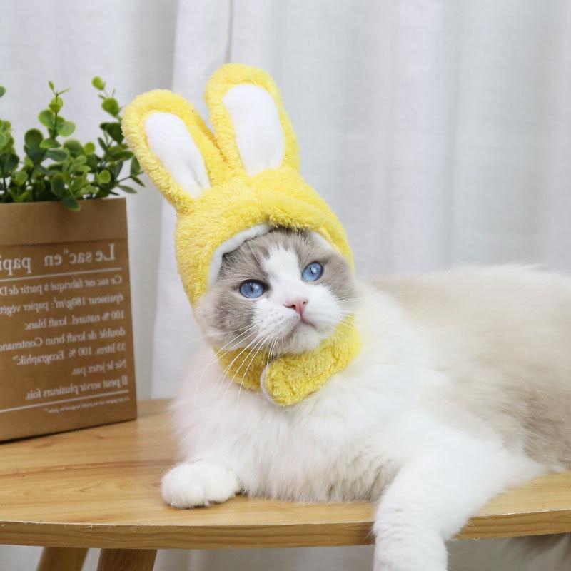 RabbitHat™ - Accessoire de déguisement pour chat - Joyeux Felin