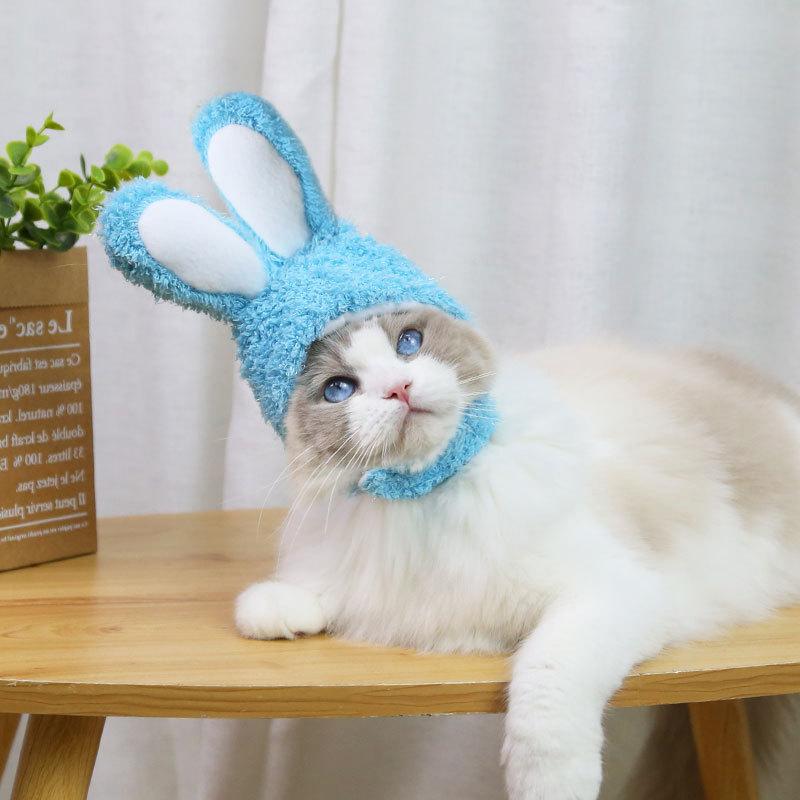 RabbitHat™ - Accessoire de déguisement pour chat - Joyeux Felin